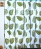 Wholesale Eva shower curtain/bathroom curtain/bath curtain