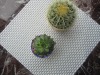 Wholesale PVC woven placemat
