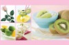 Wholesale 3d pp placemat