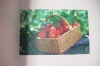 Wholesale pp mat ,plastic mat ,dinner mat ,mat ,promotion table mat,gift,placemat,dining mat ,plastic mat,table mat ,mat