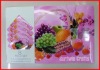 Wholesale PP Placemat set (4+4)