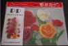 floral pp placemat set 4+4