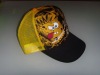Mesh embroidery caps sports hats