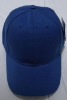 Wholesale Custom logo acceptable!! 2011 Promotional hat