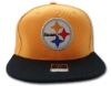 Wholesale 2011 pop flat bill baseball hat