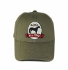 Wholesale Green sports hats