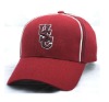 Wholesale 2011 sport hats