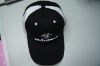 Wholesale 2011 New Promotional Caps,Advertising caps,Sport hats