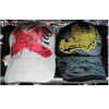 Wholesale Sport Cap/Hat for Promotions