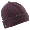 Wholesale sports insulated fleece hat