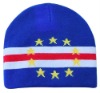 Wholesale promotion sport fan hats