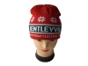 Wholesale Knitted beanies
