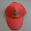 Wholesale sports hat