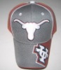 Wholesale embroidered 100%cotton baseball hat