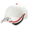 embroidered 100%cotton baseball hat