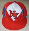 baseball hat with embroidered logo