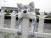 Wholesale Husky animal hat ,party hat