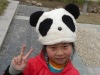 Wholesale plush panda shape hat,party hat