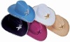 Wholesale Cowboy hat,Party hat;
