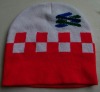 Wholesale Best quality beanie hat