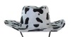 Wholesale funny cowboy hat