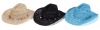 Wholesale Cowboy hat -Item No. YD12803C