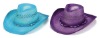 Wholesale Cowboy hat -Item No. YD241010-2
