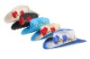 Wholesale cowboy hat P001/M10A 2F