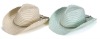 Wholesale Cowboy hat -Item No. YD230331