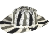 Wholesale YD25101 cowboy hat