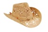 Wholesale cowboy hat 49826/M10A-A38