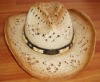 49826 paper Cowboy Hat