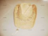 Wholesale Raffia straw cowboy hat/summer hat/straw hat