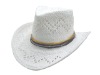 Paper cowboy hat