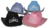 Wholesale stetson' hat/cowgirl hat/Cowboy Hat/holiday hat/promotion hat