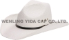 Wholesale YD24603 Cowboy hat