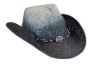Wholesale cowboy hat P005/M10A-B50
