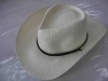 Wholesale West brown cowboy hapaper hat