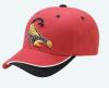 Wholesale Sport cap