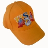 Wholesale sports cap with flag embroidered
