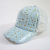 Wholesale baseball cap,promotional cap,caps,sport cap