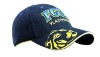 Wholesale 2011 newest sports cap