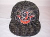 2010 Fashion Sports Cap Hot USA