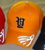 Wholesale Fashion sport cap