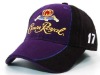 embroidery sport cap / sports cap