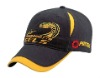 Wholesale baseball cap, sports cap, promotional cap
