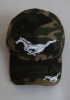 Wholesale 2012 popular sport caps