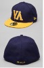 Wholesale Fashion embroidery baseball cap