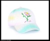Wholesale Baseball Caps,hat