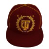 Wholesale Polyester promotional baseball caps